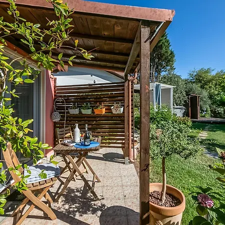 アパート Casa Fra Gli Ulivi With Shared Pool