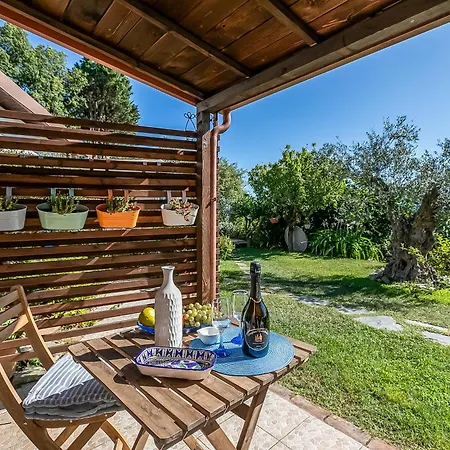 Casa Fra Gli Ulivi With Shared Pool شقة أَميليا